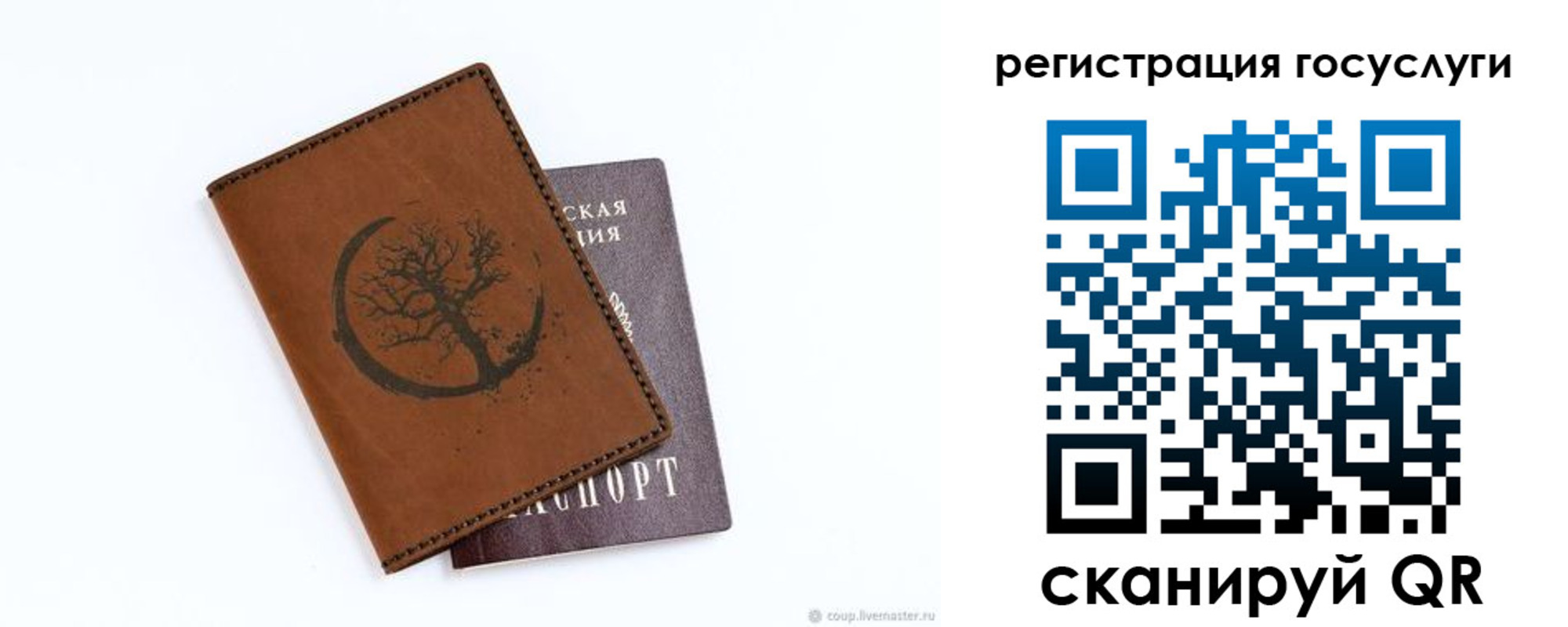 прописка для школы в Ельне